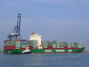 提供佛山到北京海运价格 提供佛山到北京海运型号规格
